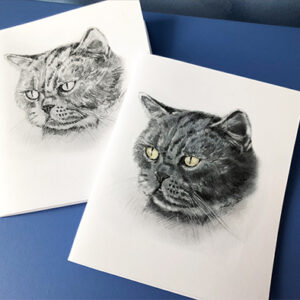 Digital Cat Card Art to Download!